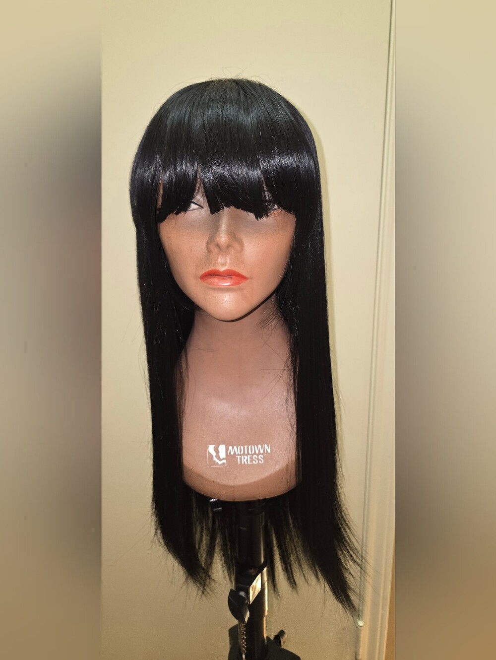 NWOT Long Silky Straight Wig with Bangs